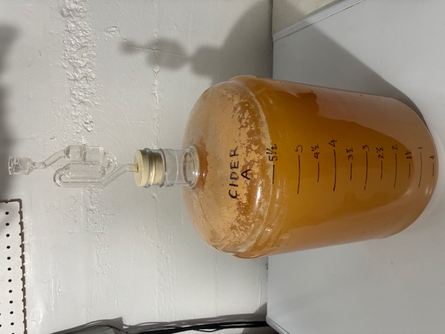 image of fermenting apple cider